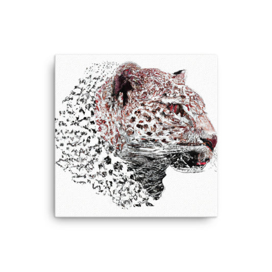 Snow leopard on white