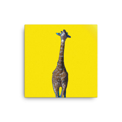 Giraffe on yellow background